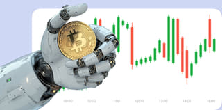 Borny Dochodek platforma wymiany kryptowalut - widok pulpitu nawigacyjnego